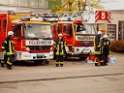 Saureaustritt Koeln Loevenich Daimlerstr P203